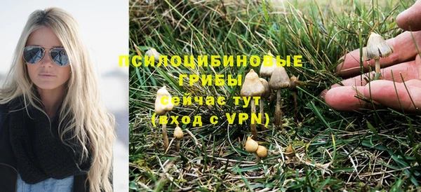 дмт Алексеевка