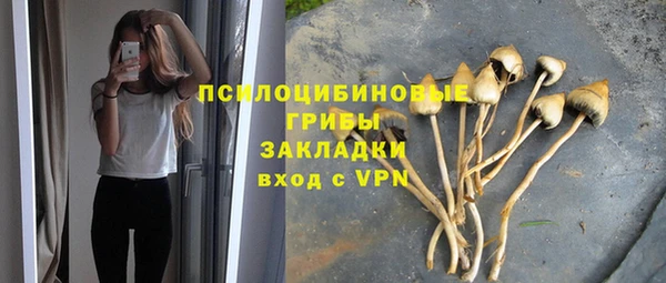 дмт Алексеевка