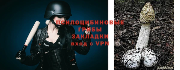 мет Пересвет
