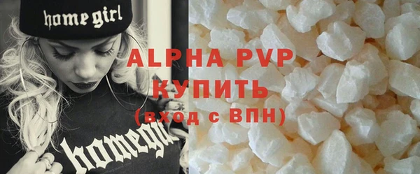 СК Алексин