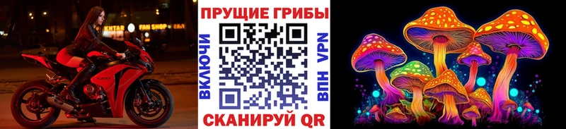 Галлюциногенные грибы MAGIC MUSHROOMS Куса
